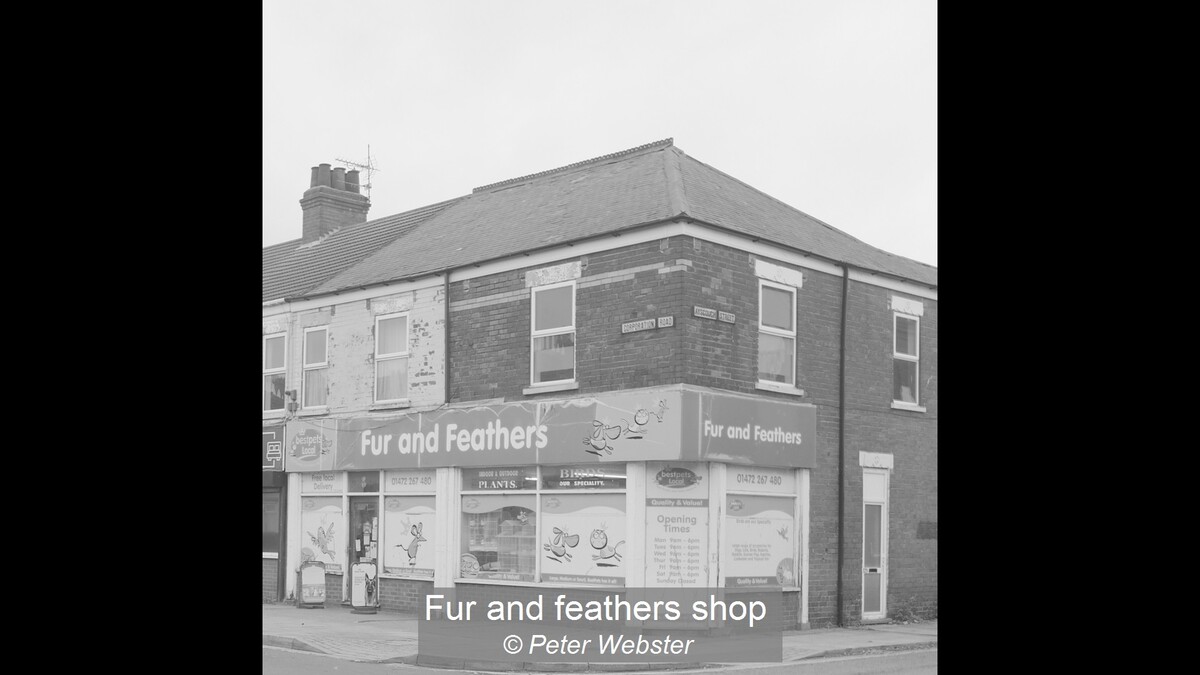 Fur and feathers shop
